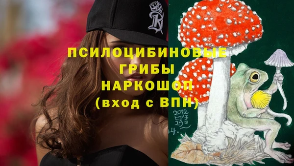 прущий лед Михайловка