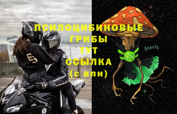 2c-b Михайловск